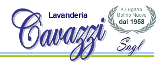 Lavanderia-cavazzi-logo
